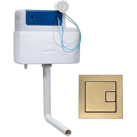 Roper Rhodes Torrent Concealed Dual Flush BTW + TR9028 Square Brass Button (1/5)