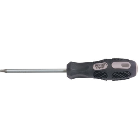 Draper 40053 Draper Expert TX-STAR Driver, T25 x 100mm Long (1/5)
