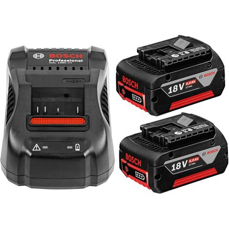 Bosch GBA18806SET 18v Starter Set 2 x 6.0ah Lithium Batteries + GAL1880 Charger (1/2)