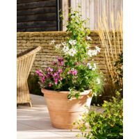 Garden Trading Newnham Planter Plant Flower Tree Pots Terracotta Style 61cm