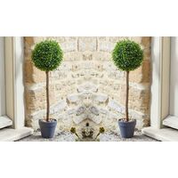 2 x Smart Garden Uno Topiary Ball Tree 40cm Decorative Artificial Indoor Outdoor