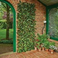 Smart Garden 60cm x 180cm Expanding Solar Pre Lit Ivy Leaf Trellis Bin Screen