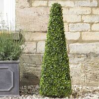2 x Smart Garden Boxwood Topiary Obelisk 60cm Decorative Artificial 5045030