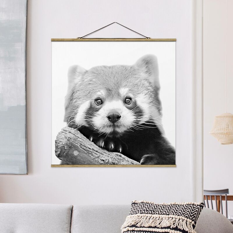 Stoffbild mit Posterleisten - 35cm Größe HxB: Roter Material: 35cm Panda Eiche Quadrat - Schwarz-weiß x in 1:1