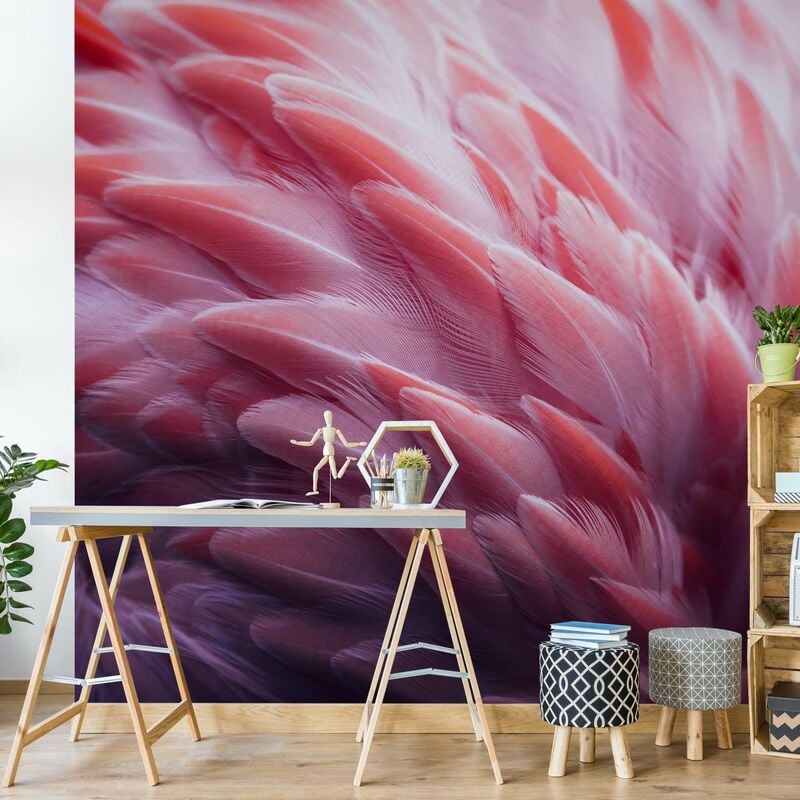 Vlies Material: Fototapete x Smart Flamingofedern 192cm 192cm Größe - Close-up HxB: