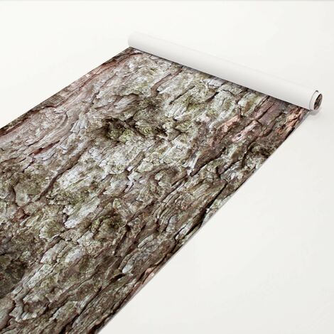 Klebefolie Holzoptik - Baumrinde - Dekorfolie Holz Größe HxB: 50cm x 50cm