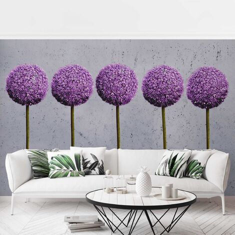Fototapete Blumen - Allium Kugel-Blüten - Vliestapete Premium Breit Größe  HxB: 190cm x 288cm