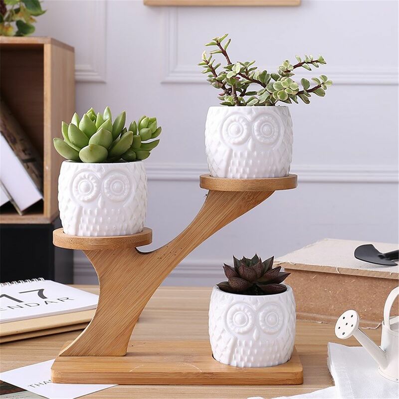 Résine Tortue Design Cactus Plante Succulente Fleur Plante Pot Jardinière