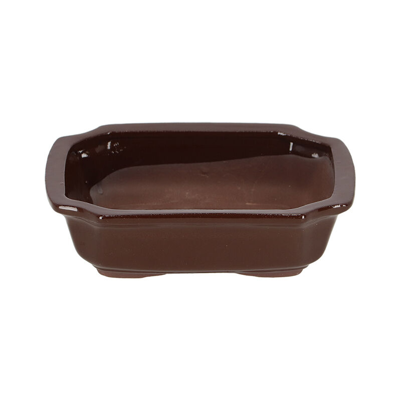 Vaso Bonsai rettangolare nero (Usato) a Lugano per CHF 23 - con