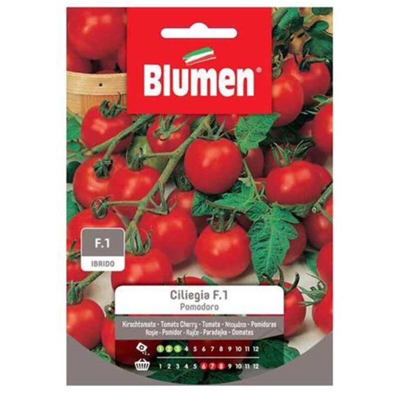 POMODORO ROMA VF - Franchi Sementi