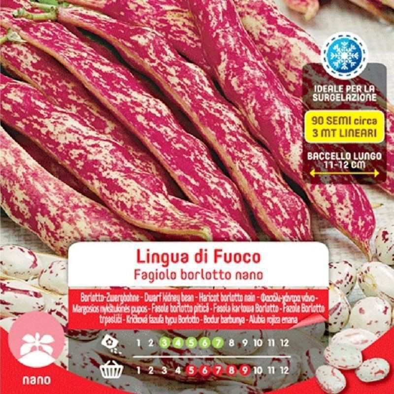 Semi Di Fagioli Rampicanti Borlotto Lingua Di Fuoco – 50g, Varietà Ad Alta Produzione Per Orto, Gusto Cremoso E Baccelli Screziati Rossi