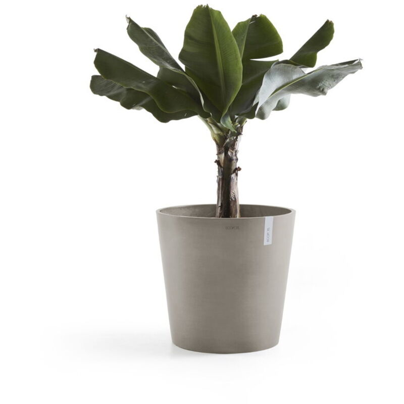 Piatto iniezione per vaso tes ø20cm plastica antracite