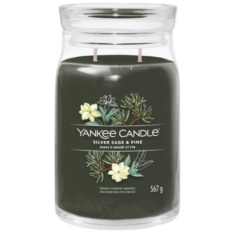 CANDELA GIARA GRANDE SILVER SAGE & PINE (1/2)