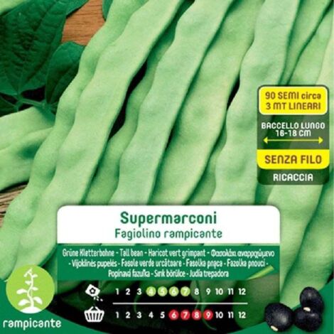 SEMI DI FAGIOLINI RAMPICANTI SUPERMARCONI BLUMEN