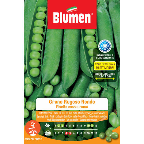 SEMI DI PISELLI MEZZA RAMA GRANO RUGOSO RONDO BLUMEN