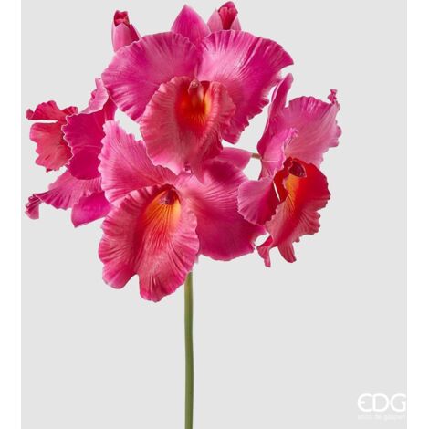 EDG Orchidea Cattleya Duke Ramo x 4 e 2 Boccioli Fuscia H 44 cm