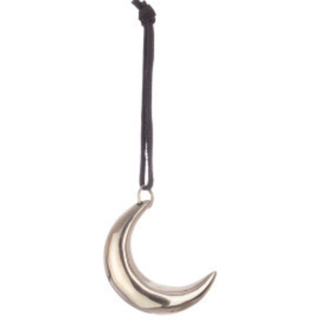 Pendaglio natalizio shannon luna argento Bizzotto h 6 cm