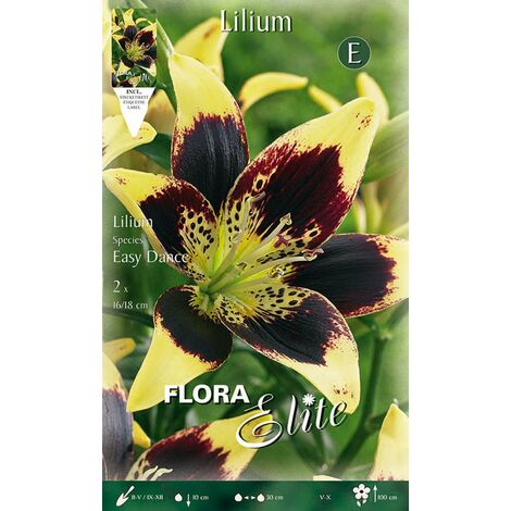 más opciones, más ahorros Obtén la mejor opción OFFERTA 15 BULBI LILIUM  ORIENTAL A FIORE DOPPIO MIX DI COLORI BULBS Mejor precio 