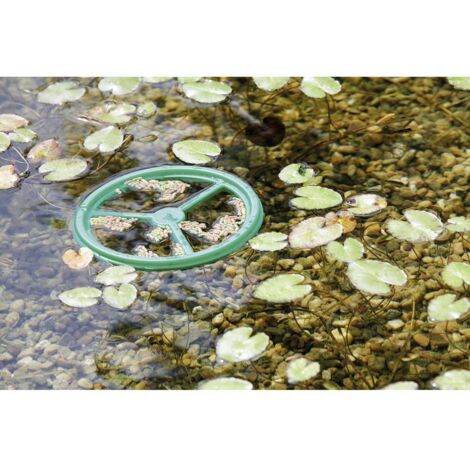 Anneau D'Alimentation Flottant Pontec PondoFeed Ring – Pour Nourrir Les Poissons De Bassin Sans Perte