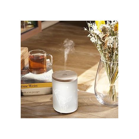 RICARICA PER DIFFUSORE ELETTRICO CARESSE DE COTON 475 ML LAMPE BERGER  DECORAZIONE PROFUMO CASA AMBIENTE