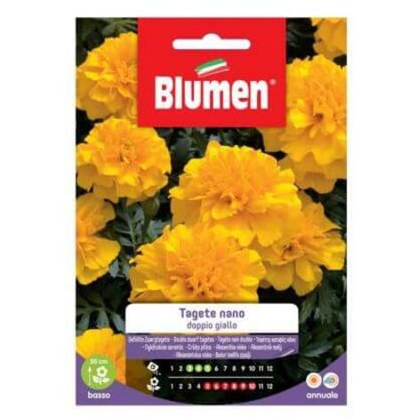 Semi Blumen tagete nano doppio giallo