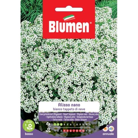 SEMI ALISSO BIANCO NANO TAPPETO NEVE BLUMEN (1/2)