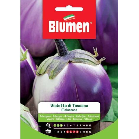 SEMI MELANZANA VIOLETTA DI TOSCANA BLUMEN
