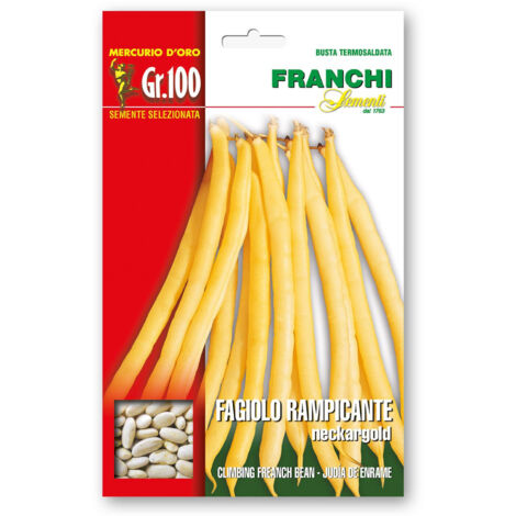 SEMI FAGIOLO RAMPICANTE NECKARGOLD GR.100 FRANCHI SEMENTI
