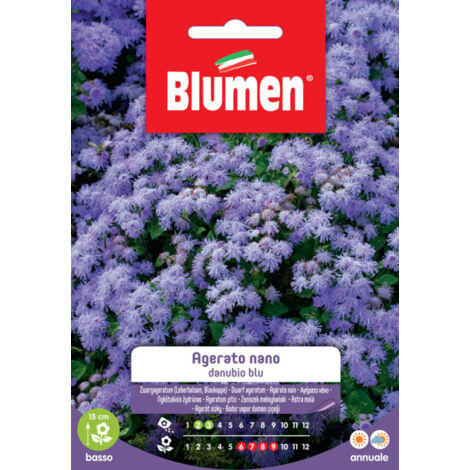 SEMENTI DI AGERATO NANO DANUBIO BLU giardino semi seeds fiori blumen