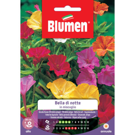 SEMENTI DI BELLA DI NOTTE giardino semi seeds fiori aiuole blumen