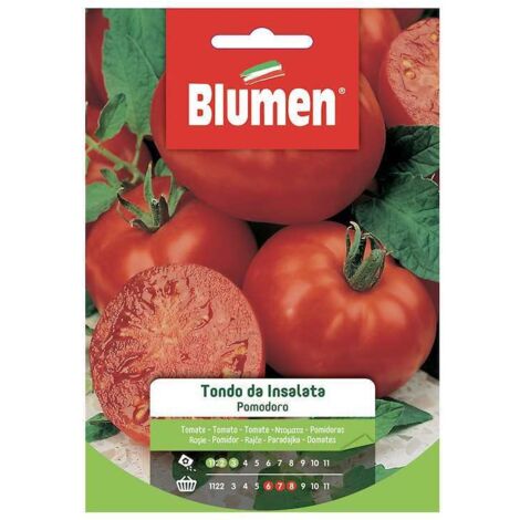 SEMI DI POMODORO TONDO DA INSALATA BLUMEN (1/2)