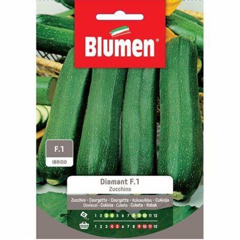 SEMI ZUCCHINO DIAMANT F1 BLUMEN SEMENTI ORTO