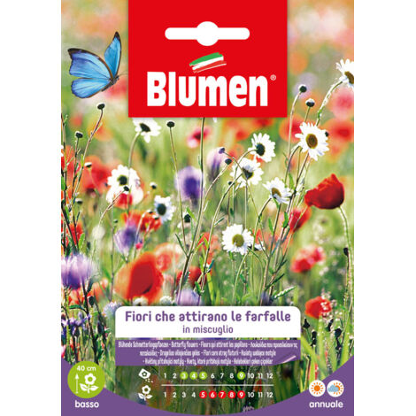 Semi Blumen fiori che attirano le farfalle