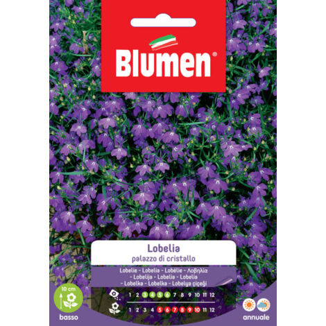 SEMI LOBELIA PALAZZO DI CRISTALLO BLUMEN SEMENTI FIORI