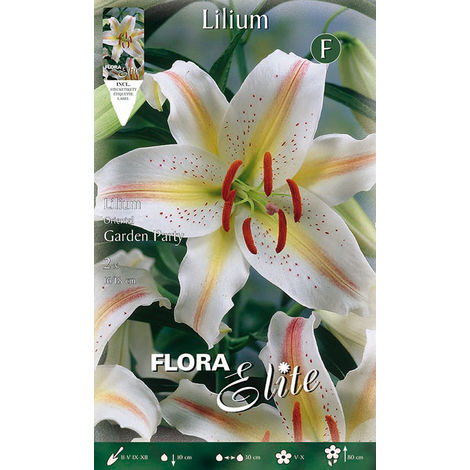 más opciones, más ahorros Obtén la mejor opción OFFERTA 15 BULBI LILIUM  ORIENTAL A FIORE DOPPIO MIX DI COLORI BULBS Mejor precio 