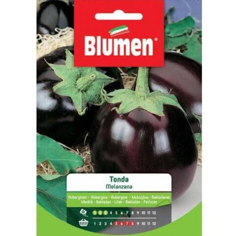 Semi Blumen melanzana tonda