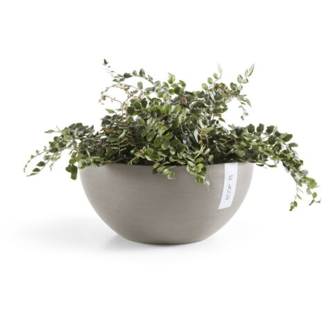 CIOTOLA BRUSSELS TORTORA D.30CM ECOPOTS