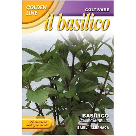 Semi Di Cavolfiore Di Jesi – Franchi Sementi, Busta Da 3g (circa 900 Semi). Varietà Precoce, Pianta Alta Con Infiorescenza Bianco-crema A Forma Di Lumachella. Semina Da Giugno Ad Agosto, Raccolta Da Novembre A Gennaio.