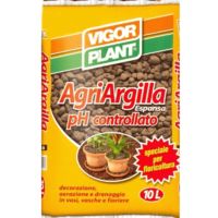 ARGILLA ESPANSA 10 LT. VIGORPLANT AGRIARGILLA PER FLORICOLTURA