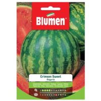 Semi Blumen anguria crimson sweet