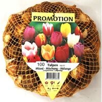 OFFERTA 50 BULBI DI CROCUS SATIVUS ZAFFERANO croco coltivazione