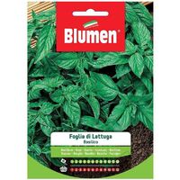 SEMI BASILICO FOGLIA LATTUGA