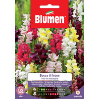 SEMI BOCCA DI LEONE ALTA MIX FIORI SEMENTI GIARDINO BLUMEN