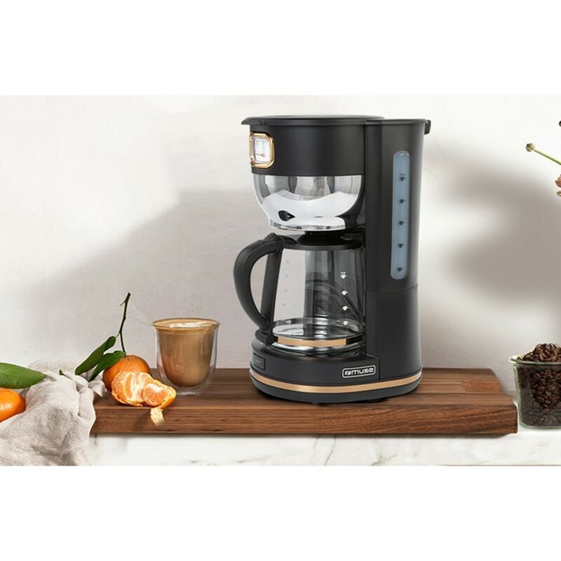 Machine à café Filtre - Puissance 1000 Watts - MS220DG-Muse