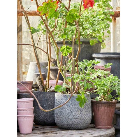 Vasetti Di Terracotta Vaso Per Fiori Piantine Cm 8