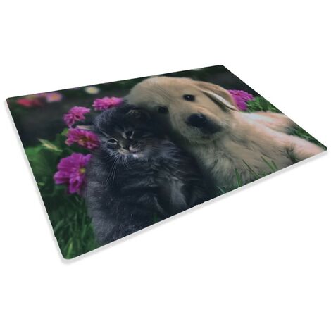 TAPPETO ZERBINO DIGITAL FRIENDS CM.40X60 CANE GATTO FIORE (1/2)