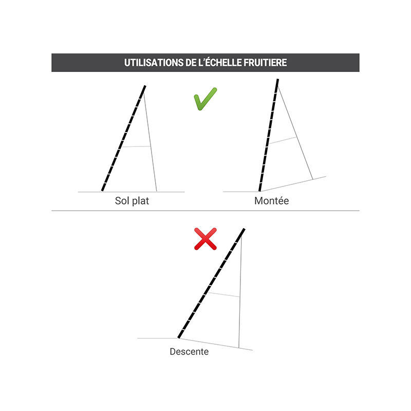 Echelle fruitière pour récolter des fruits en pente