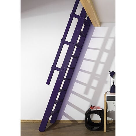 Escalier de meunier: 55cm de large - Hauteur à franchir 3m - Couleur : Bleu Nuit (RAL 5022) - MSP/R5022