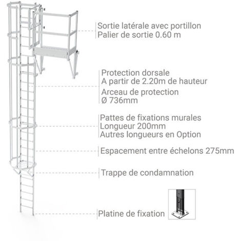 Echelle Crinoline Avec Sortie Palier Lat rale 0 6m Et Porte De echelle-crinoline-avec-sortie-palier-lat-rale-0-6m-et-porte-de