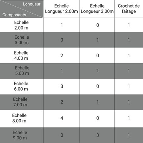 Kit Echelle de couvreur - 5.00m de long (2m + 3m) - 20 barreaux - Idéal pour monter sur les toits - DL20